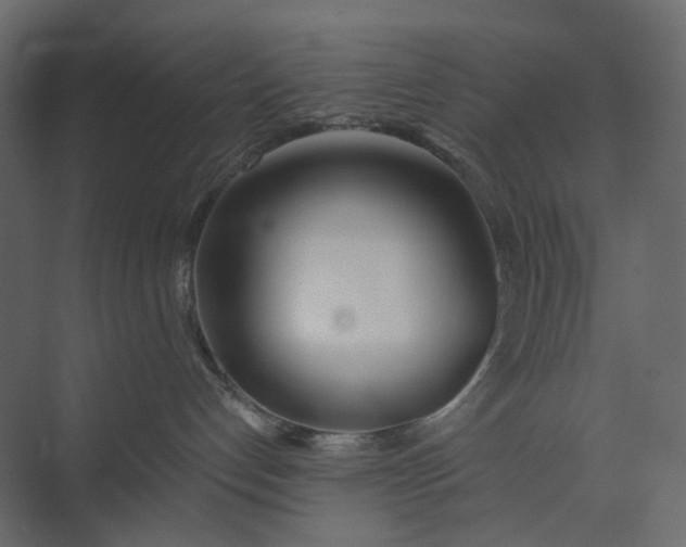 X0000073900192200608251507