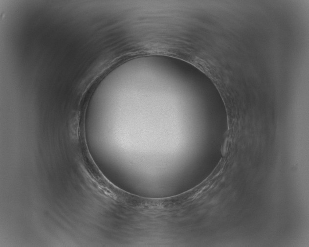 X0000073900194200608251506