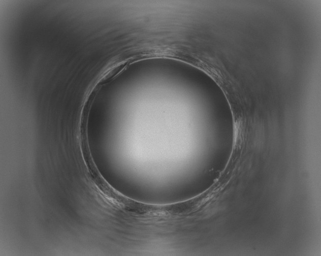 X0000073900195200608251506