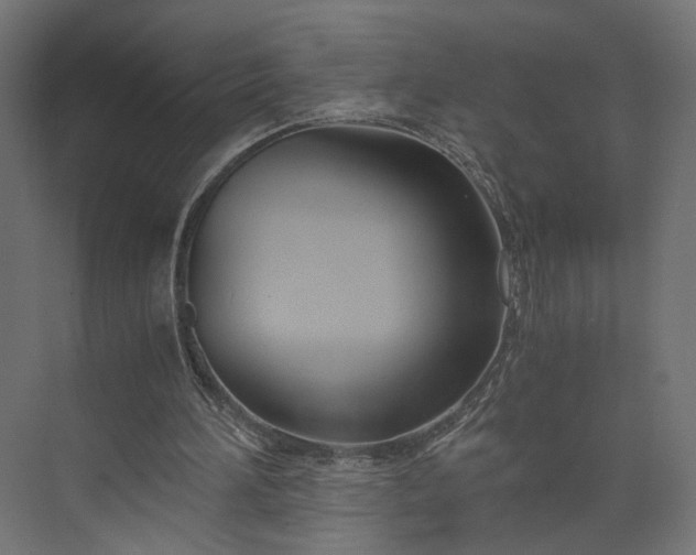 X0000073900196200608251506