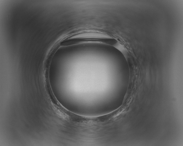 X0000073900197200608251506