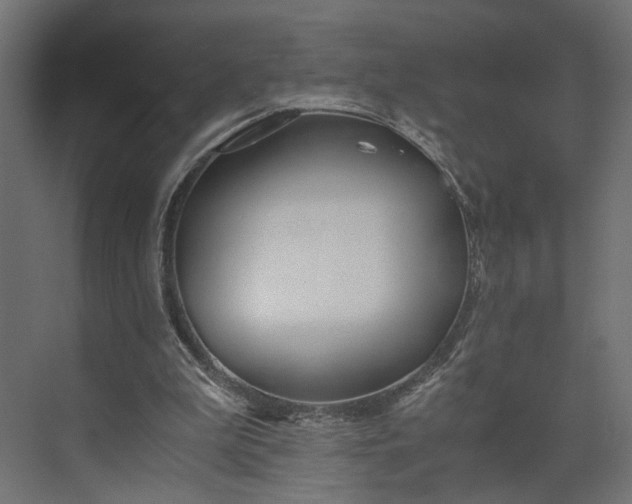 X0000073900199200608251506