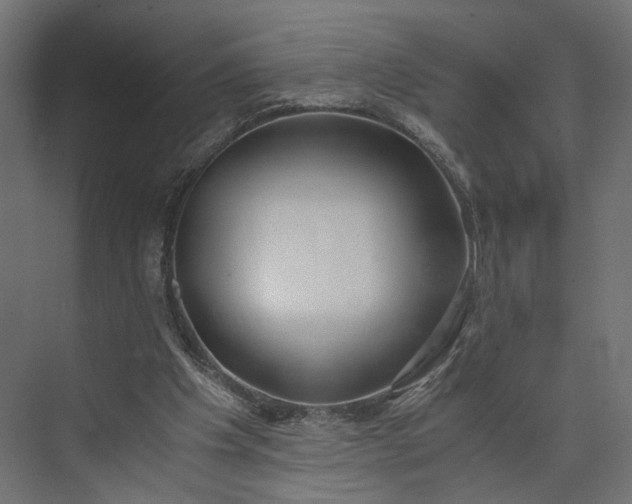 X0000073900201200608251506