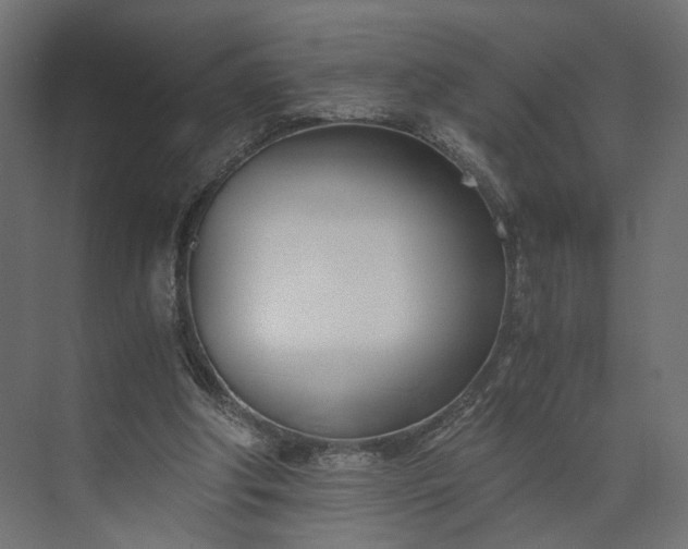 X0000073900202200608251506