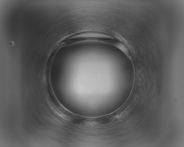 X0000073900203200608251506