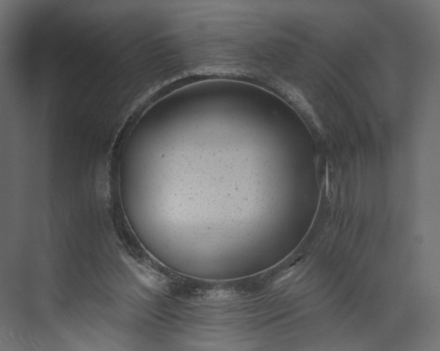 X0000073900204200608251506