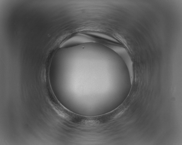 X0000073900205200608251506