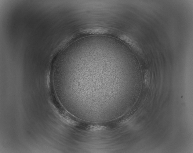 X0000073900206200608251506