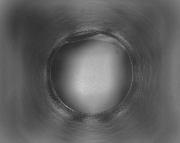 X0000073900207200608251506