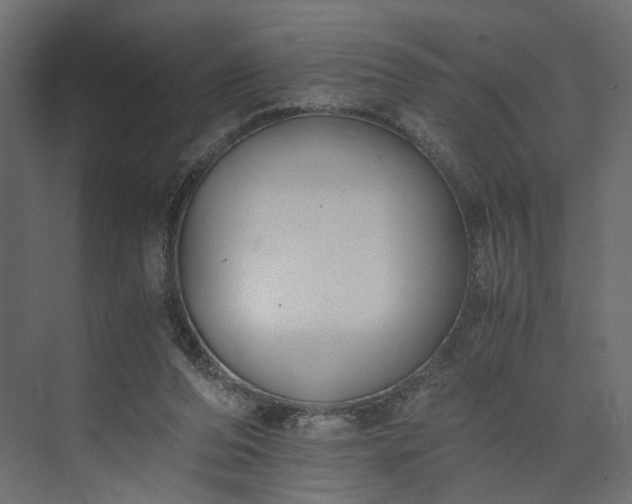 X0000073900208200608251506