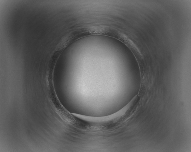 X0000073900209200608251506