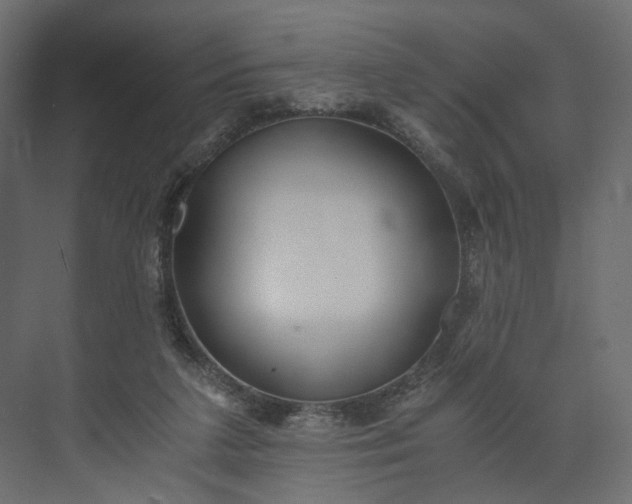 X0000073900211200608251506