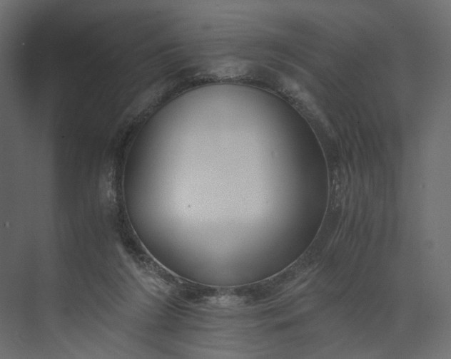 X0000073900212200608251506