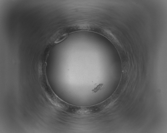 X0000073900213200608251506