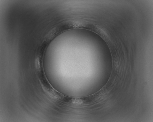 X0000073900214200608251506