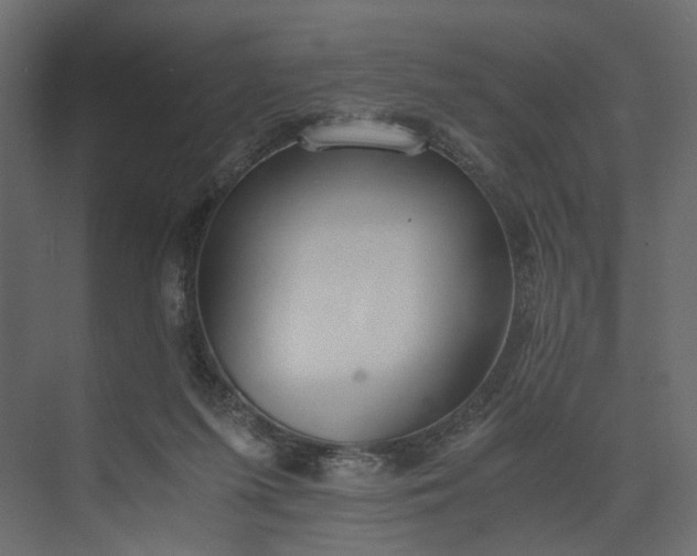 X0000073900215200608251506