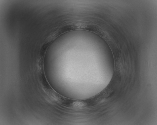 X0000073900218200608251506