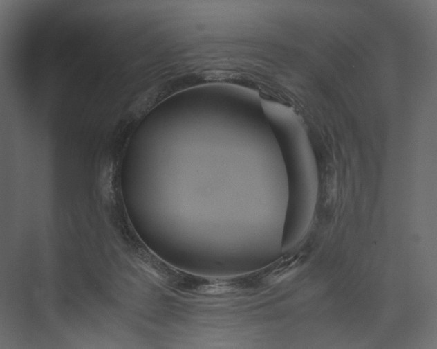 X0000073900219200608251506