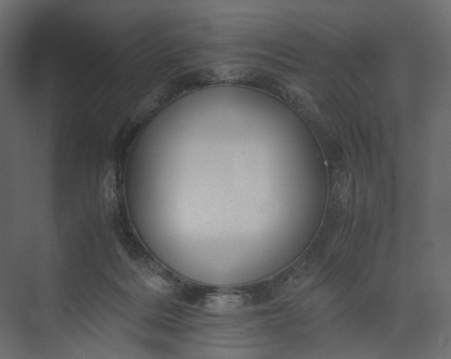 X0000073900220200608251506