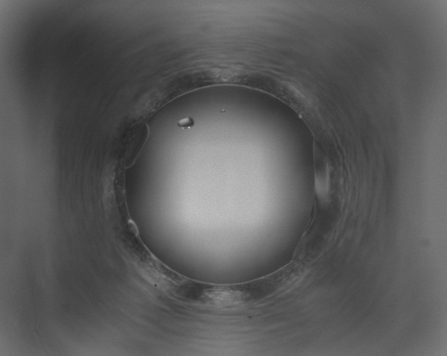 X0000073900221200608251506