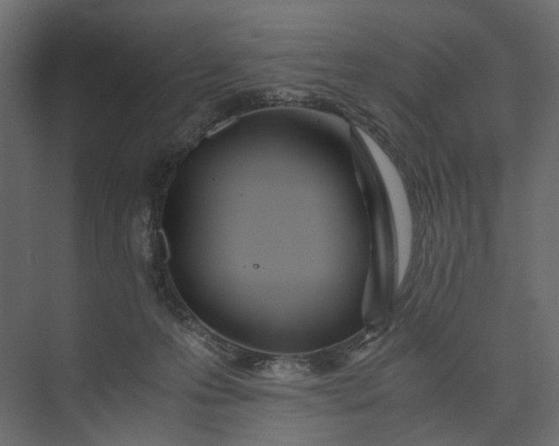 X0000073900223200608251505