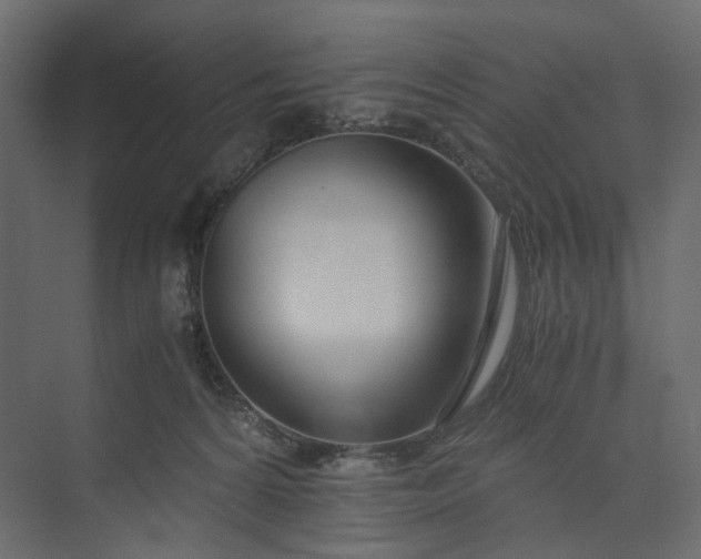 X0000073900224200608251505