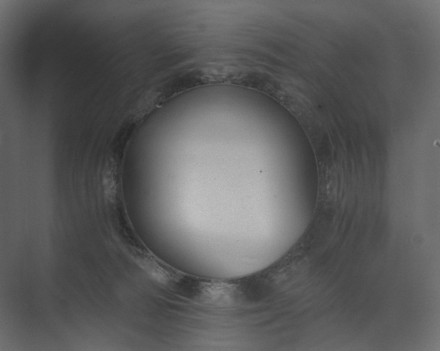 X0000073900226200608251505