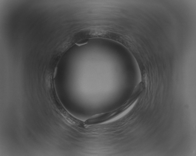 X0000073900227200608251505