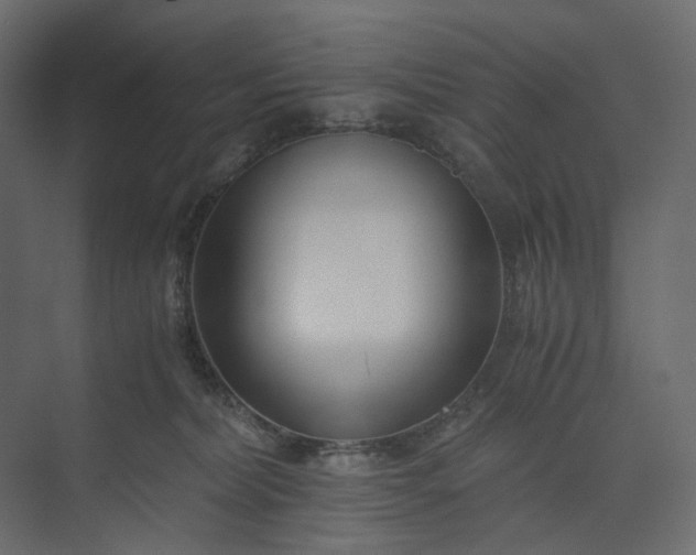 X0000073900228200608251505