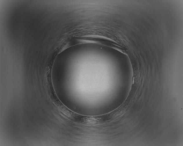 X0000073900229200608251505