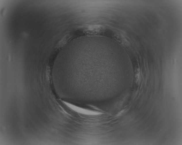 X0000073900231200608251505