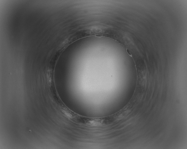 X0000073900232200608251505