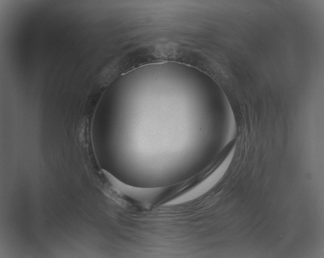 X0000073900233200608251505