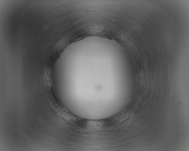 X0000073900234200608251505