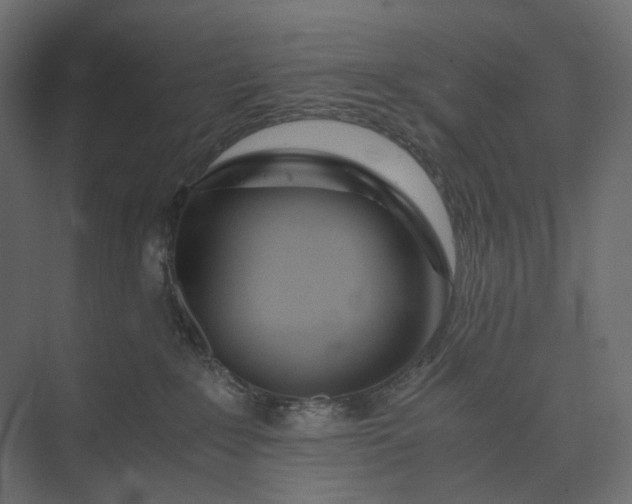 X0000073900235200608251505