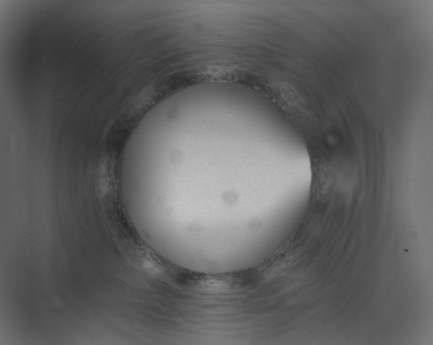 X0000073900236200608251505