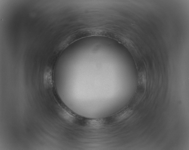 X0000073900238200608251505