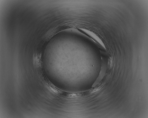 X0000073900239200608251505