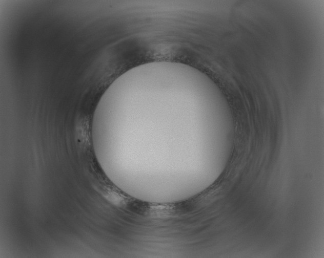 X0000073900240200608251505