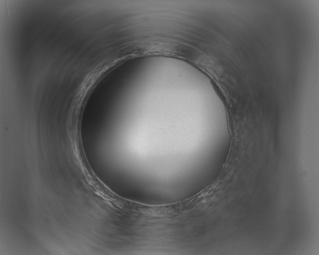 X0000073900241200608251504