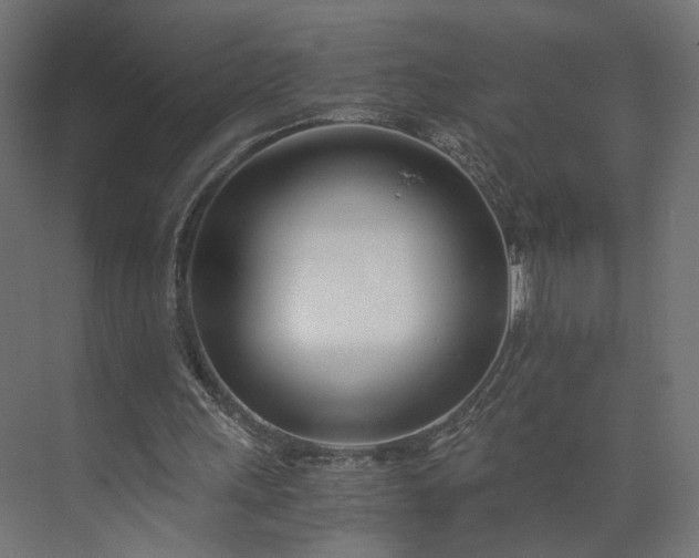 X0000073900243200608251504