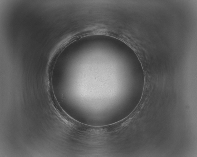 X0000073900245200608251504