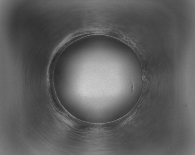 X0000073900246200608251504