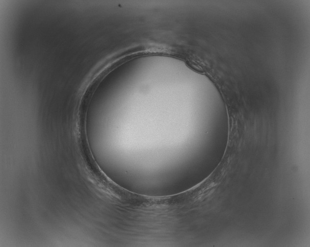 X0000073900247200608251504