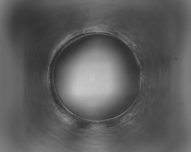 X0000073900248200608251504