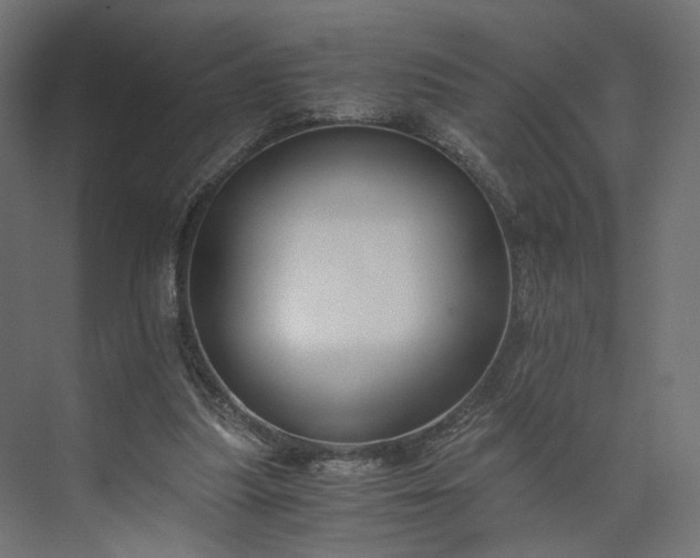 X0000073900251200608251505