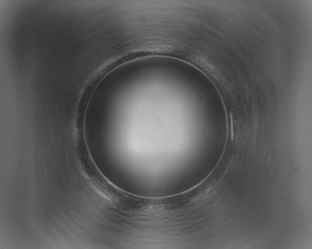 X0000073900252200608251505