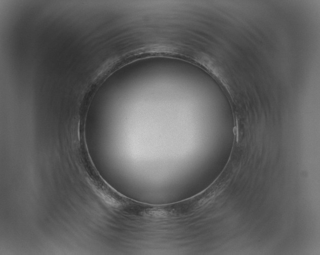 X0000073900253200608251505