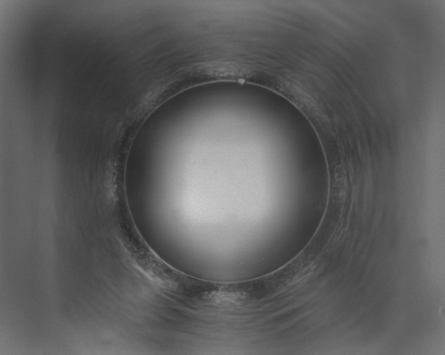 X0000073900255200608251505