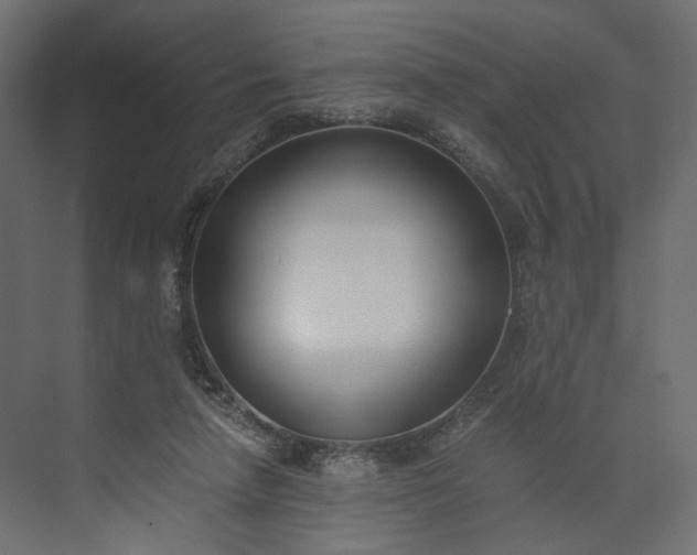 X0000073900258200608251505